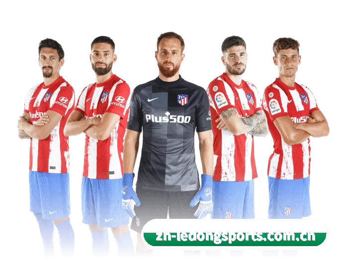 了解平台 - 体育资讯内容服务（LedongSports）